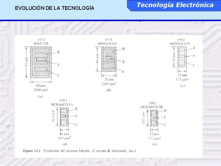 EVOLUCIÓN DE LA TECNOLOGÍA 