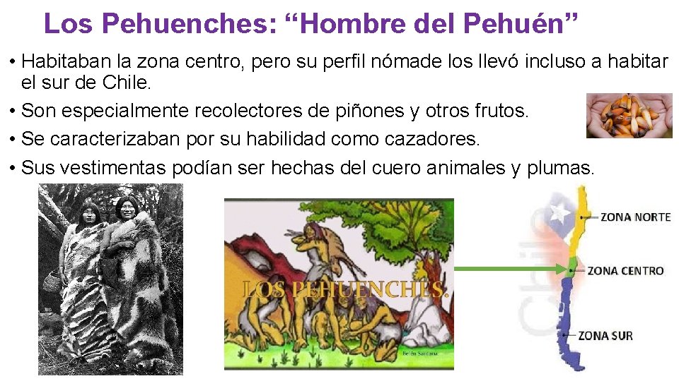 Los Pehuenches: “Hombre del Pehuén” • Habitaban la zona centro, pero su perfil nómade