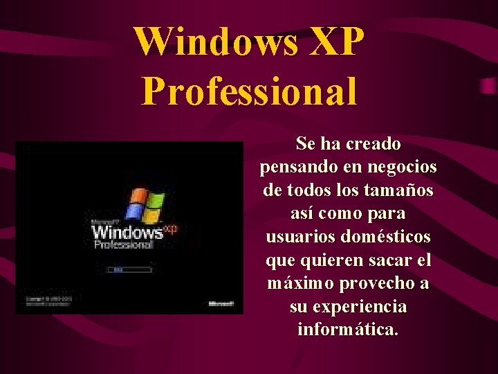 Windows XP Professional Se ha creado pensando en negocios de todos los tamaños así
