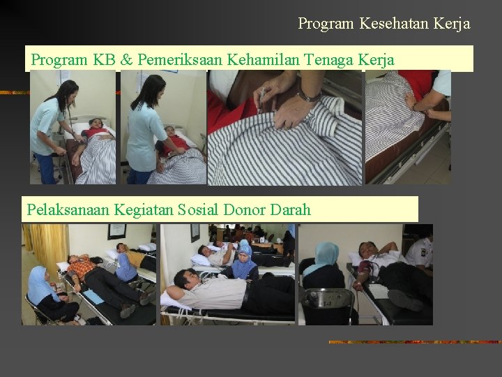 Program Kesehatan Kerja Program KB & Pemeriksaan Kehamilan Tenaga Kerja Pelaksanaan Kegiatan Sosial Donor