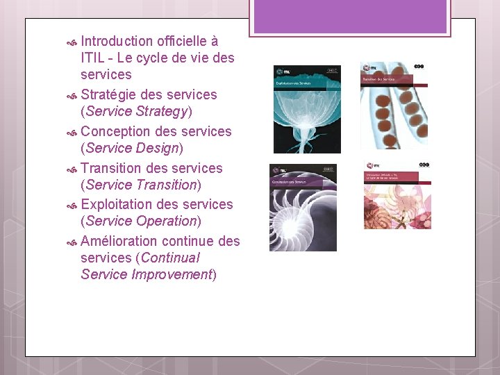 Introduction officielle à ITIL - Le cycle de vie des services Stratégie des services