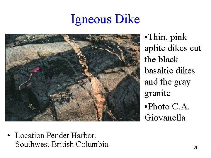 Igneous Dike • Thin, pink aplite dikes cut the black basaltic dikes and the