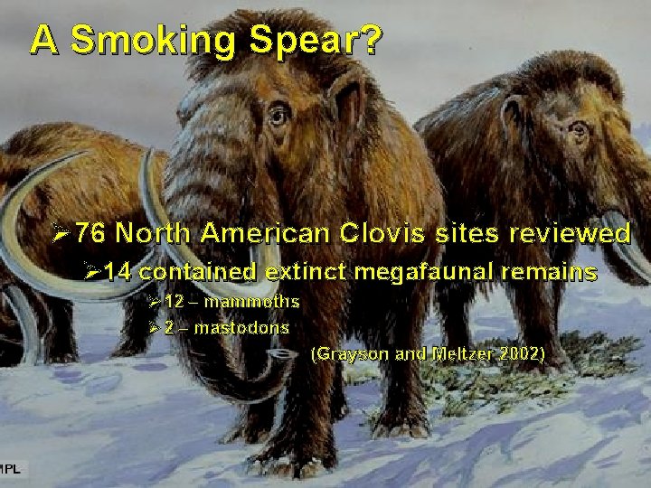 A Smoking Spear? Ø 76 North American Clovis sites reviewed Ø 14 contained extinct