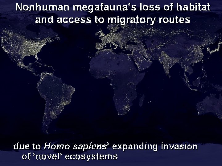 Nonhuman megafauna’s loss of habitat and access to migratory routes due to Homo sapiens’