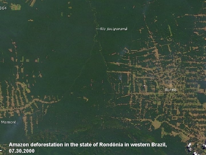 Amazon deforestation in the state of Rondônia in western Brazil, 07. 30. 2000 