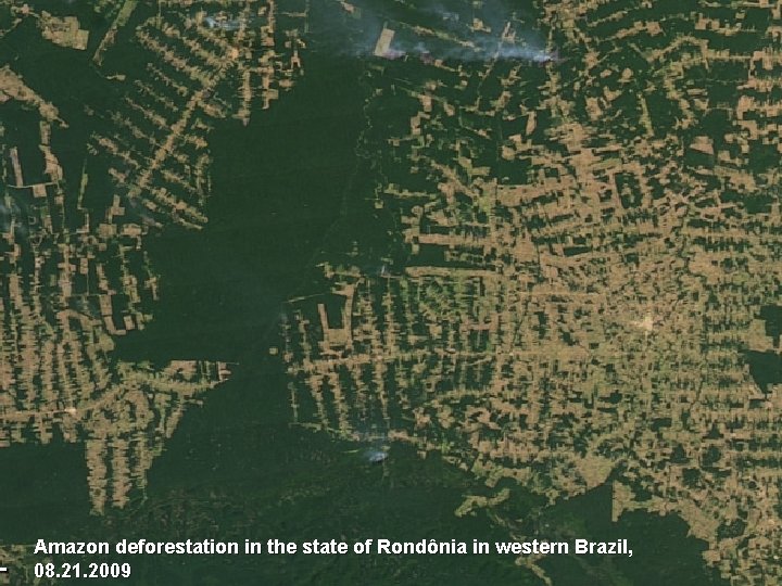 Amazon deforestation in the state of Rondônia in western Brazil, 08. 21. 2009 
