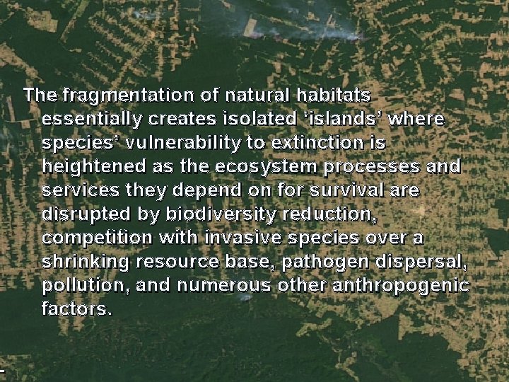 The fragmentation of natural habitats essentially creates isolated ‘islands’ where species’ vulnerability to extinction