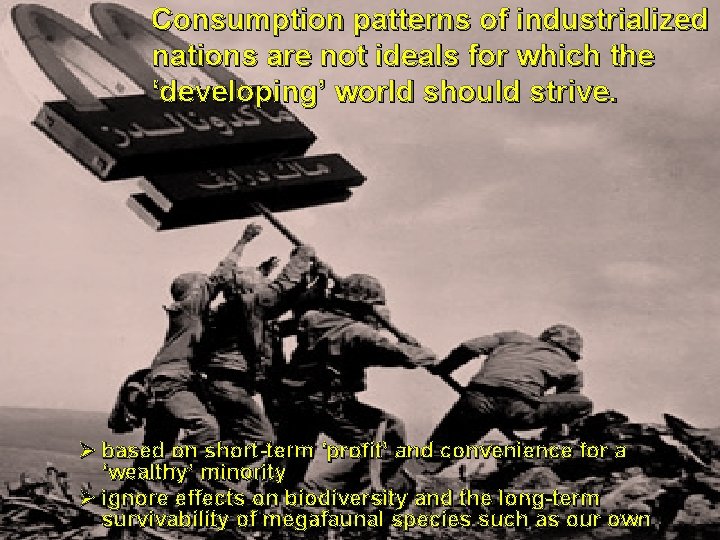Consumption patterns of industrialized nations are not ideals for which the ‘developing’ world should