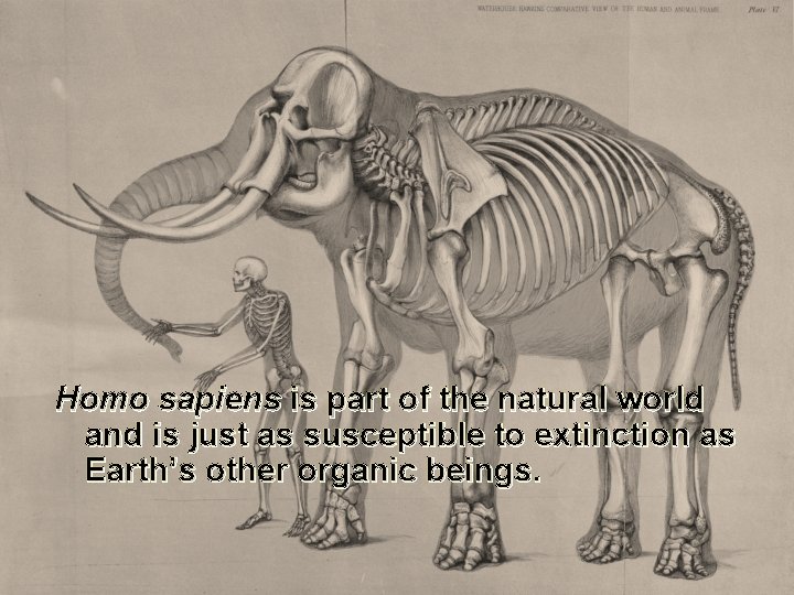 Homo sapiens is part of the natural world and is just as susceptible to