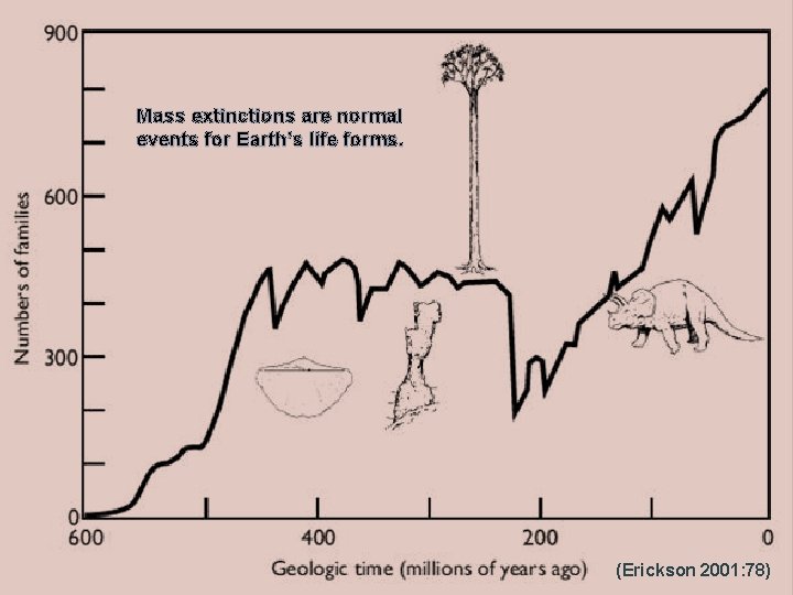 Mass extinctions are normal events for Earth’s life forms. (Erickson 2001: 78) 