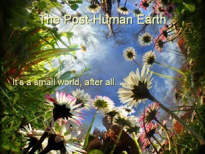 The Post-Human Earth It’s a small world, after all. . 