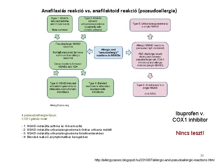 Anafilaxiás reakció vs. anafilaktoid reakció (pszeudoallergia) Ibuprofen v. COX 1 inhibitor 4 pszeudoalllergia típus: