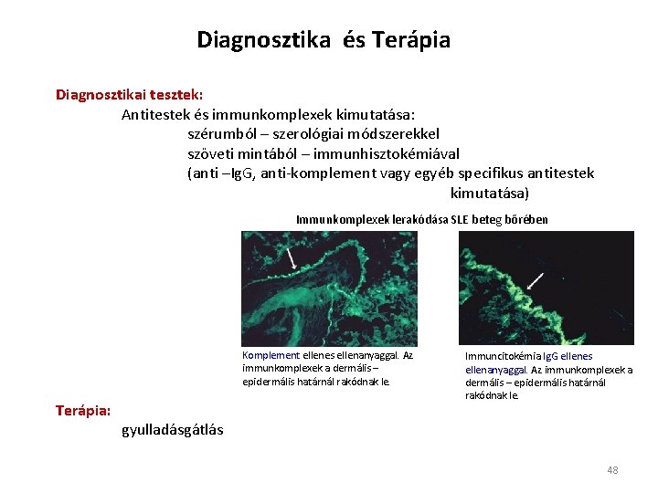 Diagnosztika és Terápia Diagnosztikai tesztek: Antitestek és immunkomplexek kimutatása: szérumból – szerológiai módszerekkel szöveti