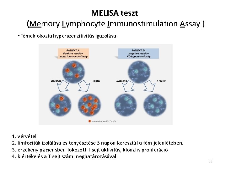 MELISA teszt (Memory Lymphocyte Immunostimulation Assay ) §Fémek okozta hyperszenzitivitás igazolása 1. vérvétel 2.