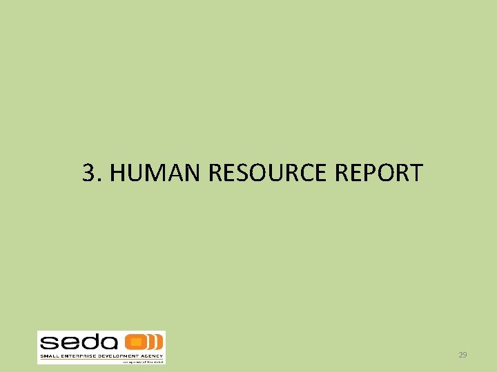 3. HUMAN RESOURCE REPORT 29 3. HUMAN RESOURCE REPORT 29