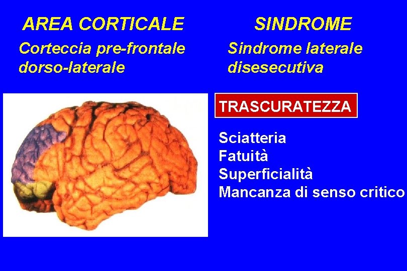 AREA CORTICALE Corteccia pre-frontale dorso-laterale SINDROME Sindrome laterale disesecutiva TRASCURATEZZA Sciatteria Fatuità Superficialità Mancanza