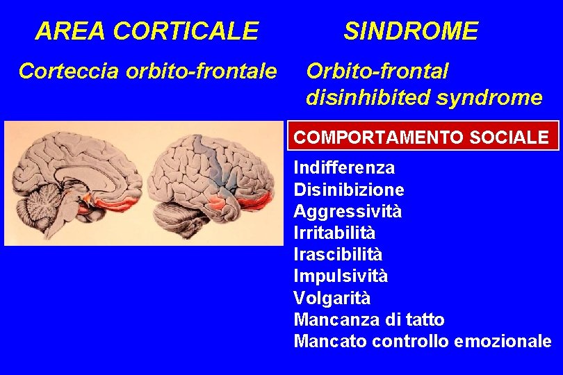 AREA CORTICALE Corteccia orbito-frontale SINDROME Orbito-frontal disinhibited syndrome COMPORTAMENTO SOCIALE Indifferenza Disinibizione Aggressività Irritabilità