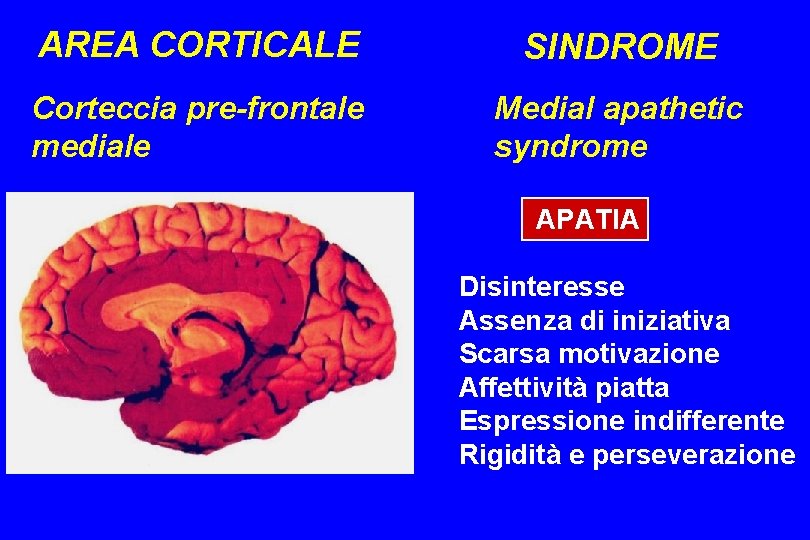  AREA CORTICALE SINDROME Corteccia pre-frontale mediale Medial apathetic syndrome APATIA Disinteresse Assenza di