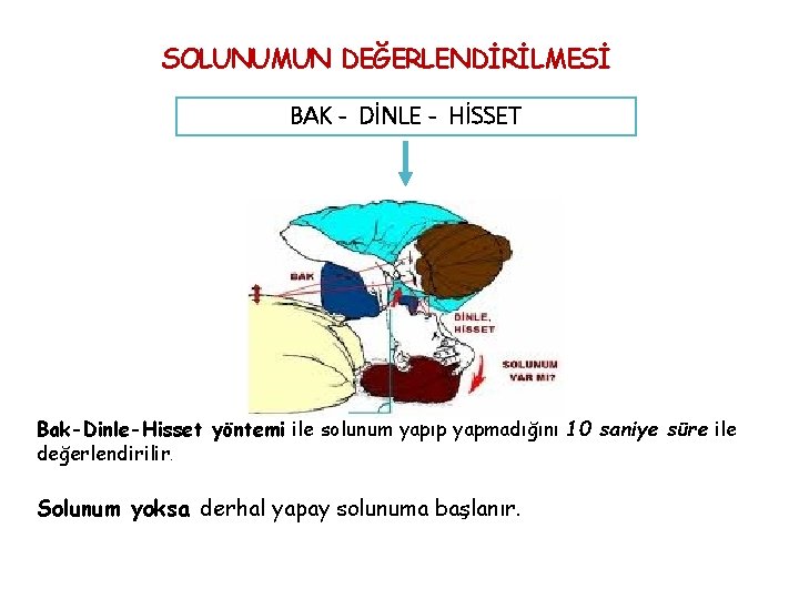 SOLUNUMUN DEĞERLENDİRİLMESİ BAK - DİNLE - HİSSET Bak-Dinle-Hisset yöntemi ile solunum yapıp yapmadığını 10