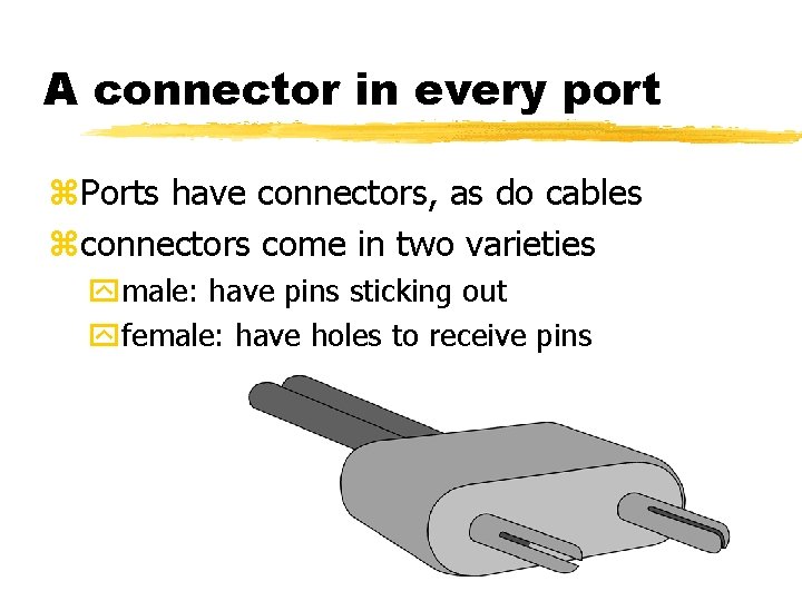 A connector in every port z. Ports have connectors, as do cables zconnectors come