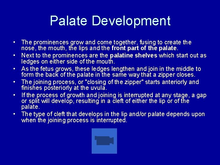 Palate Development • The prominences grow and come together, fusing to create the nose,