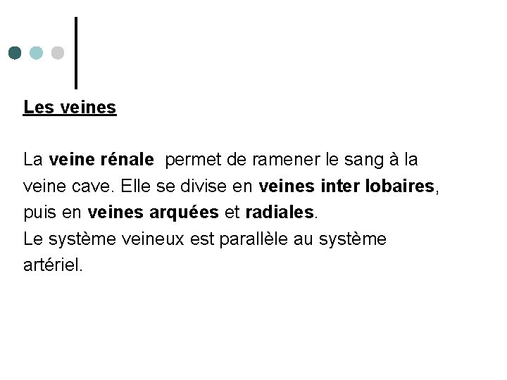 Les veines La veine rénale permet de ramener le sang à la veine cave.