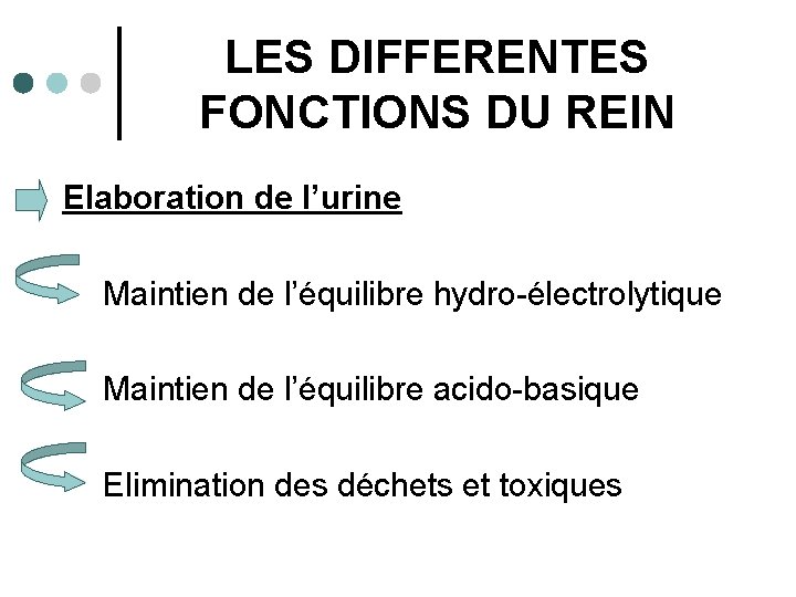 LES DIFFERENTES FONCTIONS DU REIN Elaboration de l’urine Maintien de l’équilibre hydro-électrolytique Maintien de