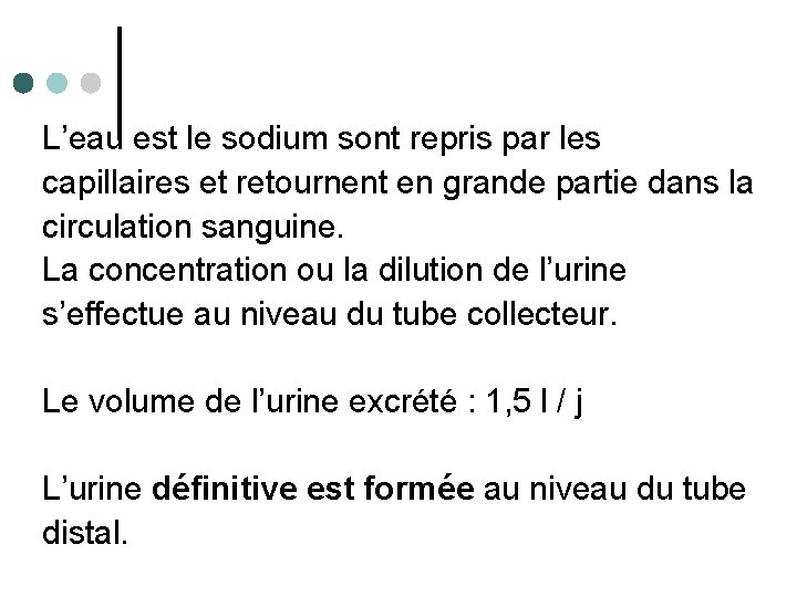 L’eau est le sodium sont repris par les capillaires et retournent en grande partie