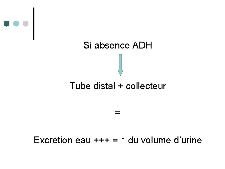 Si absence ADH Tube distal + collecteur = Excrétion eau +++ = ↑ du