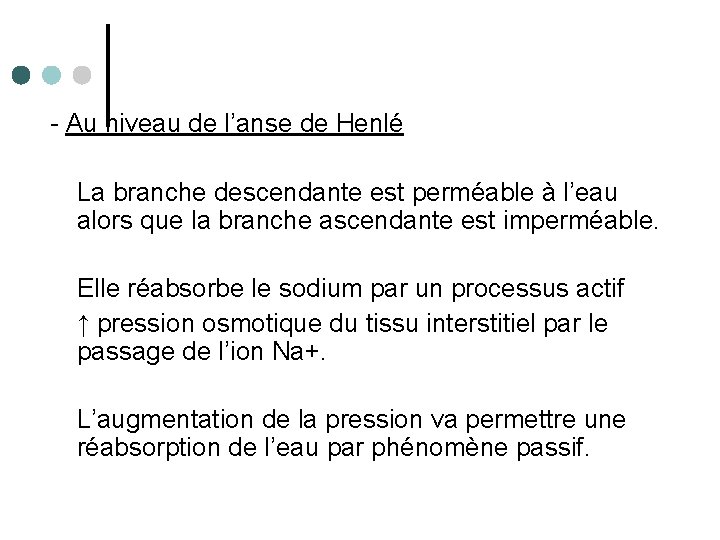 - Au niveau de l’anse de Henlé La branche descendante est perméable à l’eau