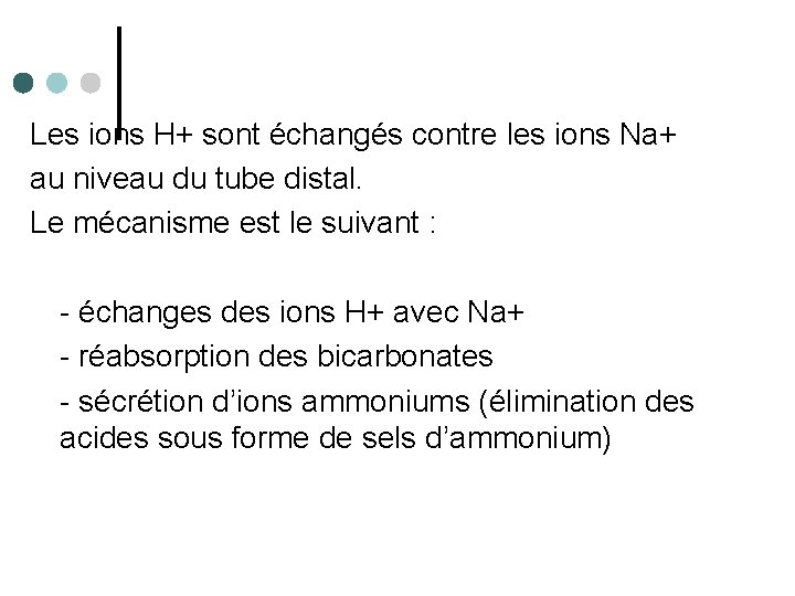 Les ions H+ sont échangés contre les ions Na+ au niveau du tube distal.