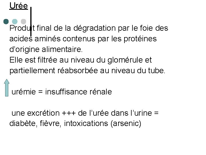 Urée Produit final de la dégradation par le foie des acides aminés contenus par