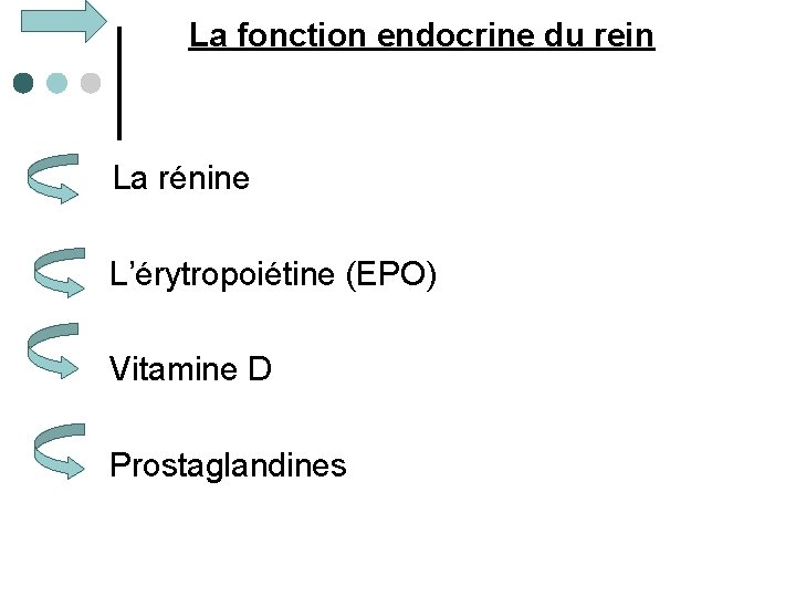  La fonction endocrine du rein La rénine L’érytropoiétine (EPO) Vitamine D Prostaglandines 