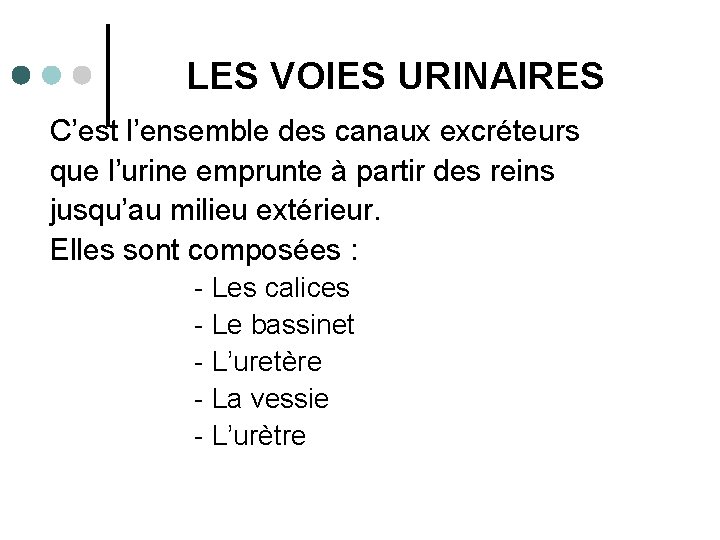 LES VOIES URINAIRES C’est l’ensemble des canaux excréteurs que l’urine emprunte à partir des