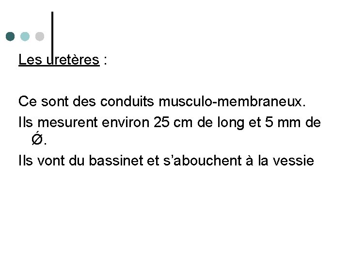 Les uretères : Ce sont des conduits musculo-membraneux. Ils mesurent environ 25 cm de