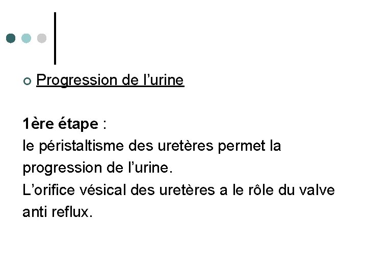 ¢ Progression de l’urine 1ère étape : le péristaltisme des uretères permet la progression