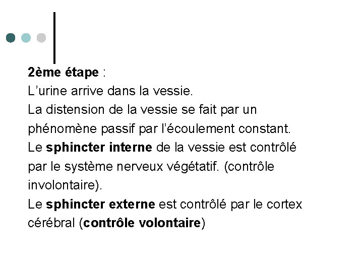 2ème étape : L’urine arrive dans la vessie. La distension de la vessie se