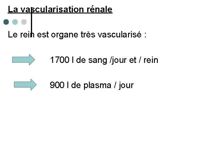 La vascularisation rénale Le rein est organe très vascularisé : 1700 l de sang