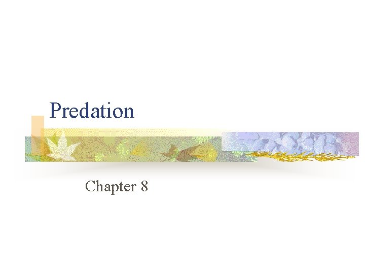 Predation Chapter 8 