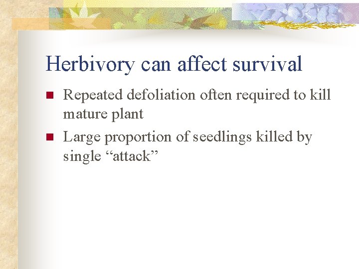 Herbivory can affect survival n n Repeated defoliation often required to kill mature plant