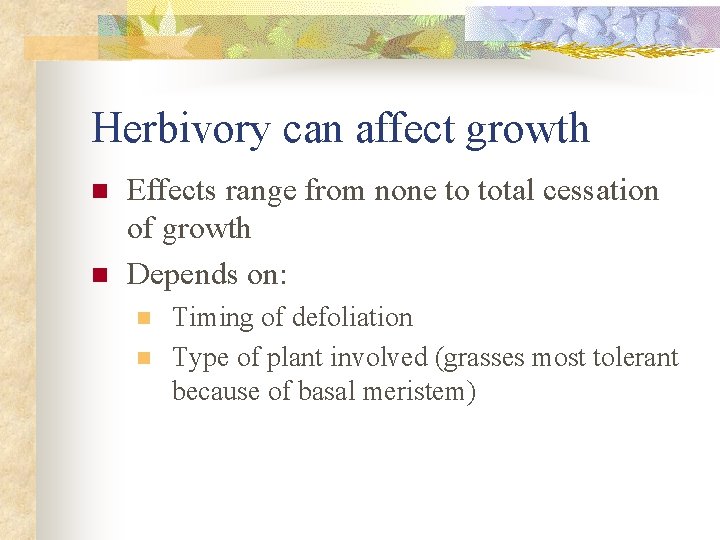 Herbivory can affect growth n n Effects range from none to total cessation of