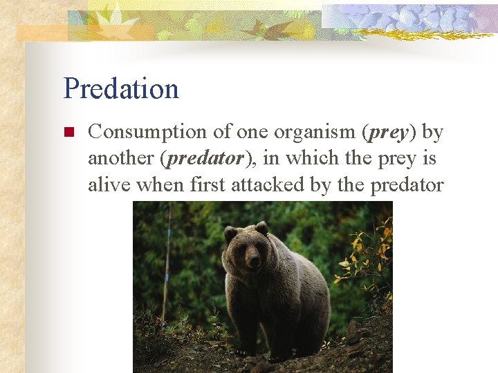 Predation n Consumption of one organism (prey) by another (predator), in which the prey