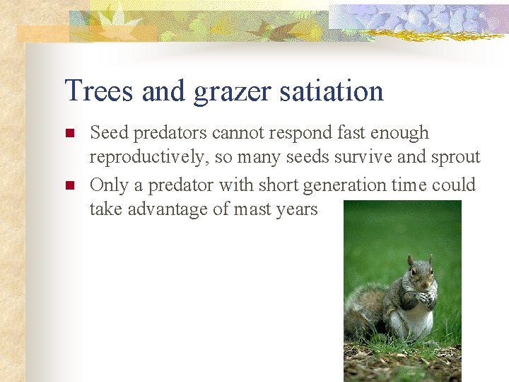 Trees and grazer satiation n n Seed predators cannot respond fast enough reproductively, so