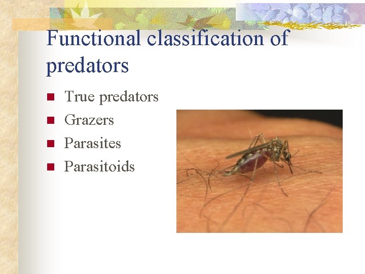 Functional classification of predators n n True predators Grazers Parasites Parasitoids 