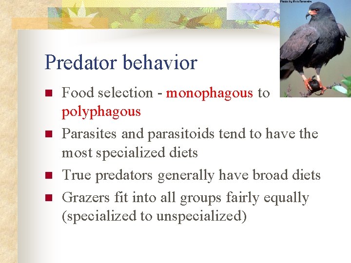 Predator behavior n n Food selection - monophagous to polyphagous Parasites and parasitoids tend