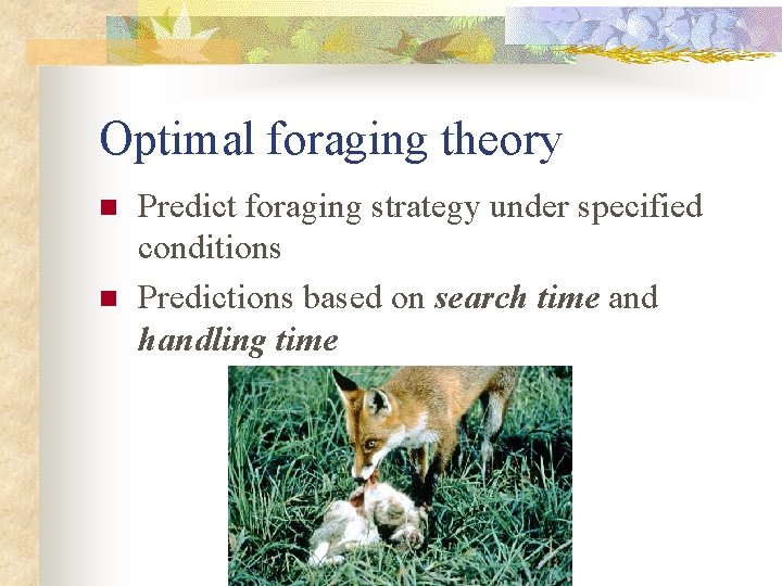 Optimal foraging theory n n Predict foraging strategy under specified conditions Predictions based on