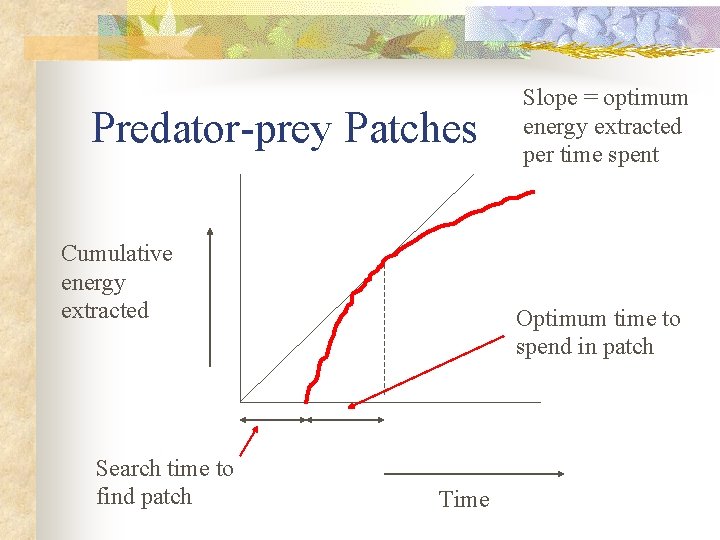 Predator-prey Patches Cumulative energy extracted Search time to find patch Slope = optimum energy