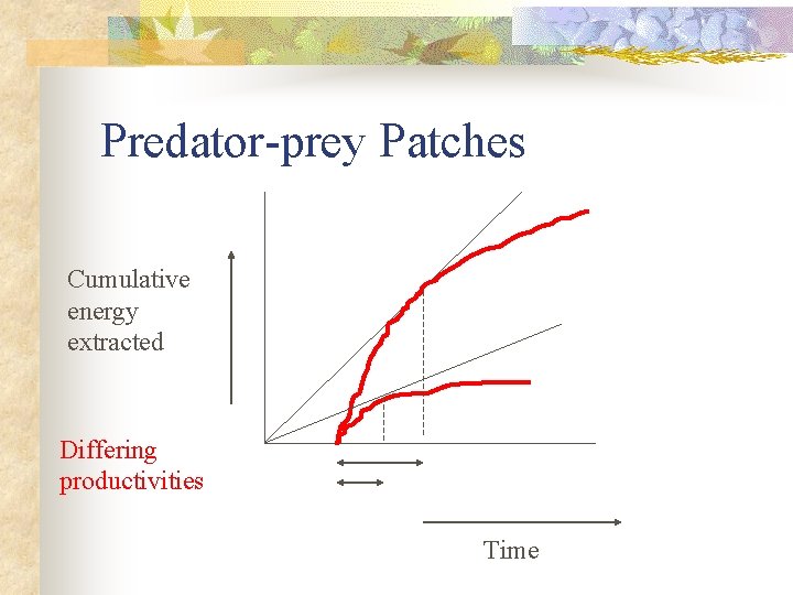 Predator-prey Patches Cumulative energy extracted Differing productivities Time 