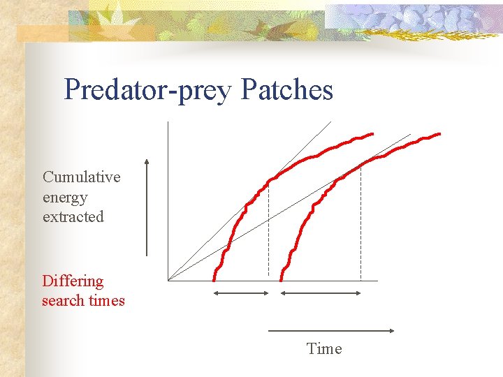 Predator-prey Patches Cumulative energy extracted Differing search times Time 