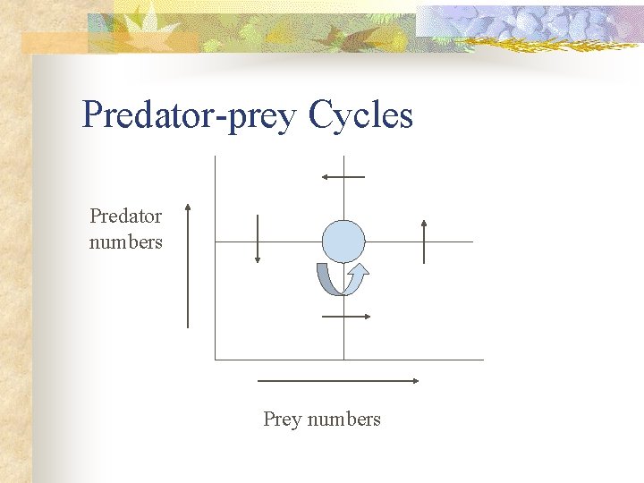 Predator-prey Cycles Predator numbers Prey numbers 